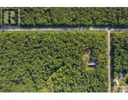 Lot 20 Concession 4 Road, Alfred And Plantagenet, ON K0B1L0 Photo 12