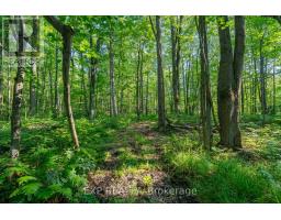 Lot 20 Concession 4 Road, Alfred And Plantagenet, ON K0B1L0 Photo 6