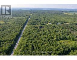 Lot 20 Concession 4 Road, Alfred And Plantagenet, ON K0B1L0 Photo 11