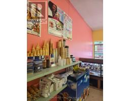 3441 St. Clair Avenue E, Toronto, ON M1L1W6 Photo 11