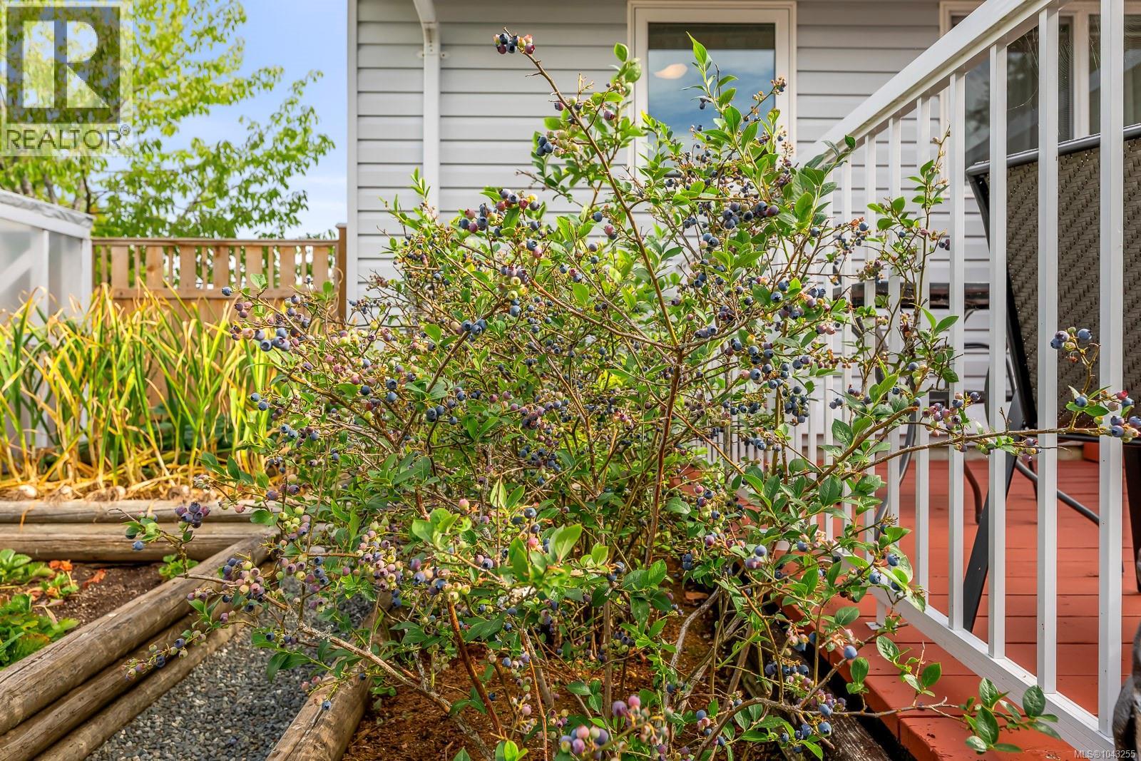 1413 Canso Ave - 47