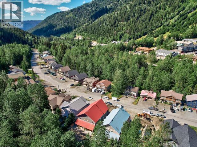 1347 BURFIELD Drive - 36