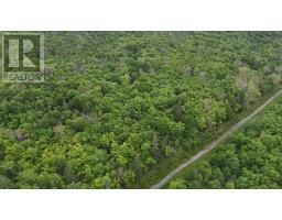Old Mulgrave Road, Mulgrave, NS B0E2G0 Photo 9