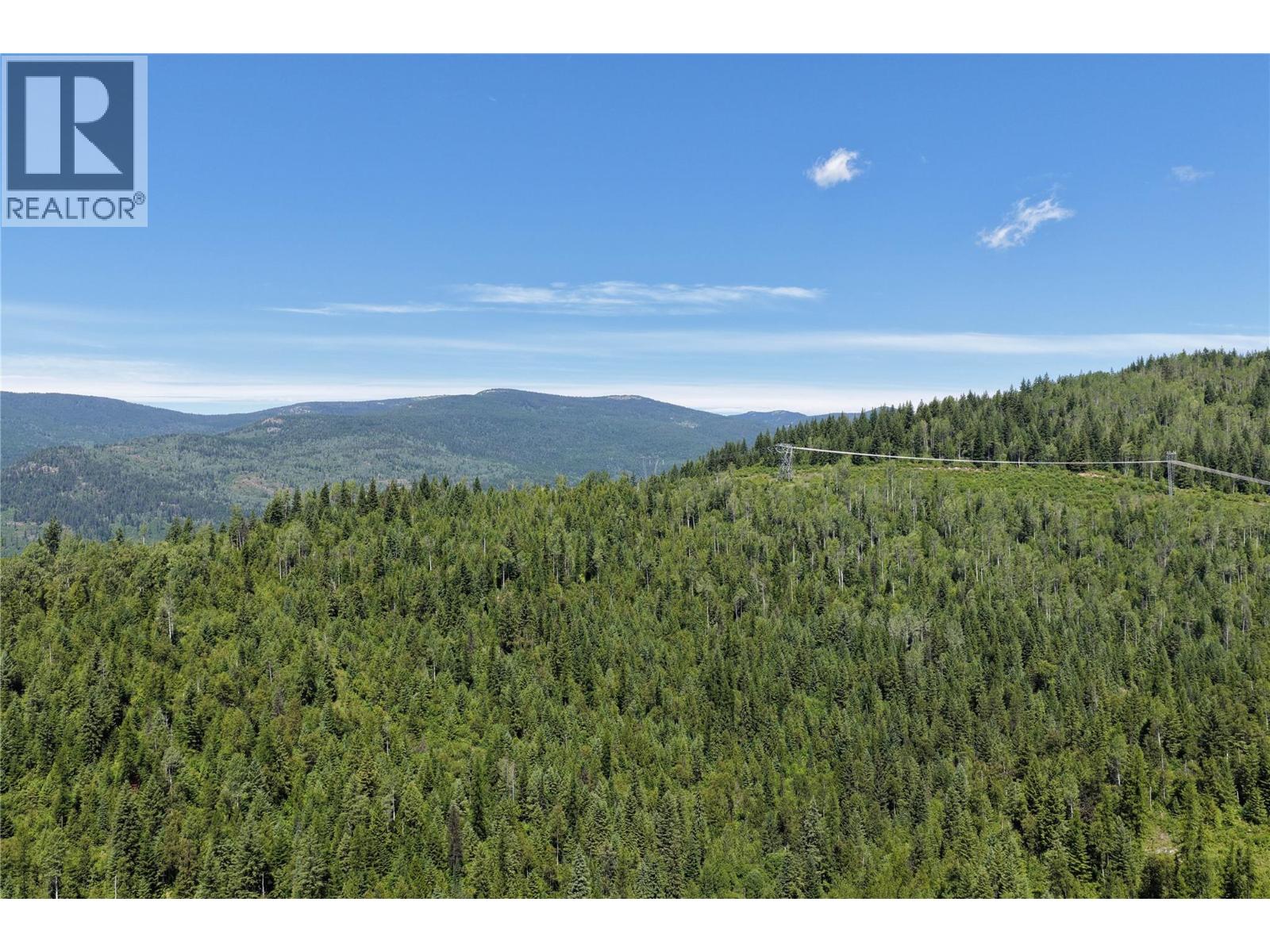 549 ROSEBUD LAKE Road, Salmo — photo 2
