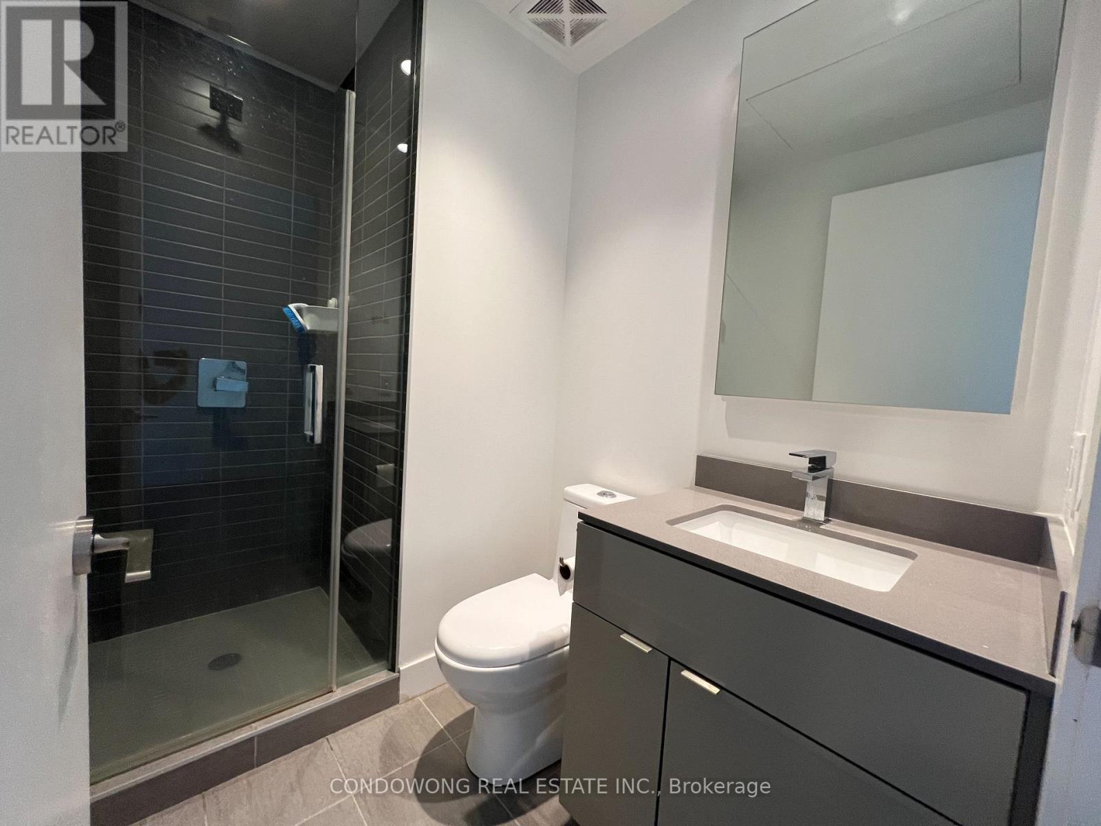Toilet And Shower Room
