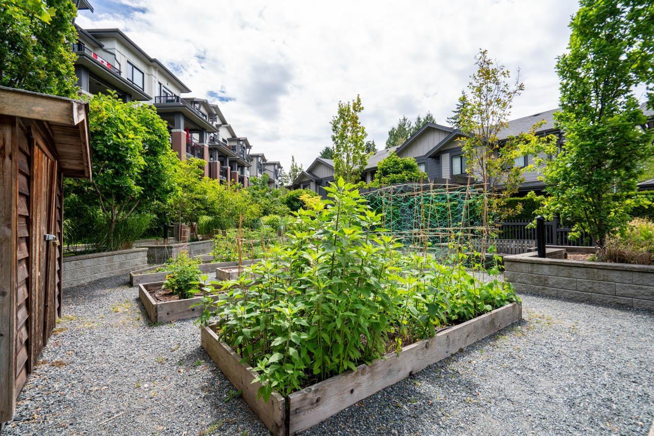 2 Bed, 2 Bath Apartment for Sale in Surrey – 408 2960 151 STREET, Surrey – MLS# R3142520 - Image 28
