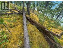 Lot 5 Anstey Arm Bay Unit# N Queest, Anstey Arm, BC V0E2J0 Photo 8
