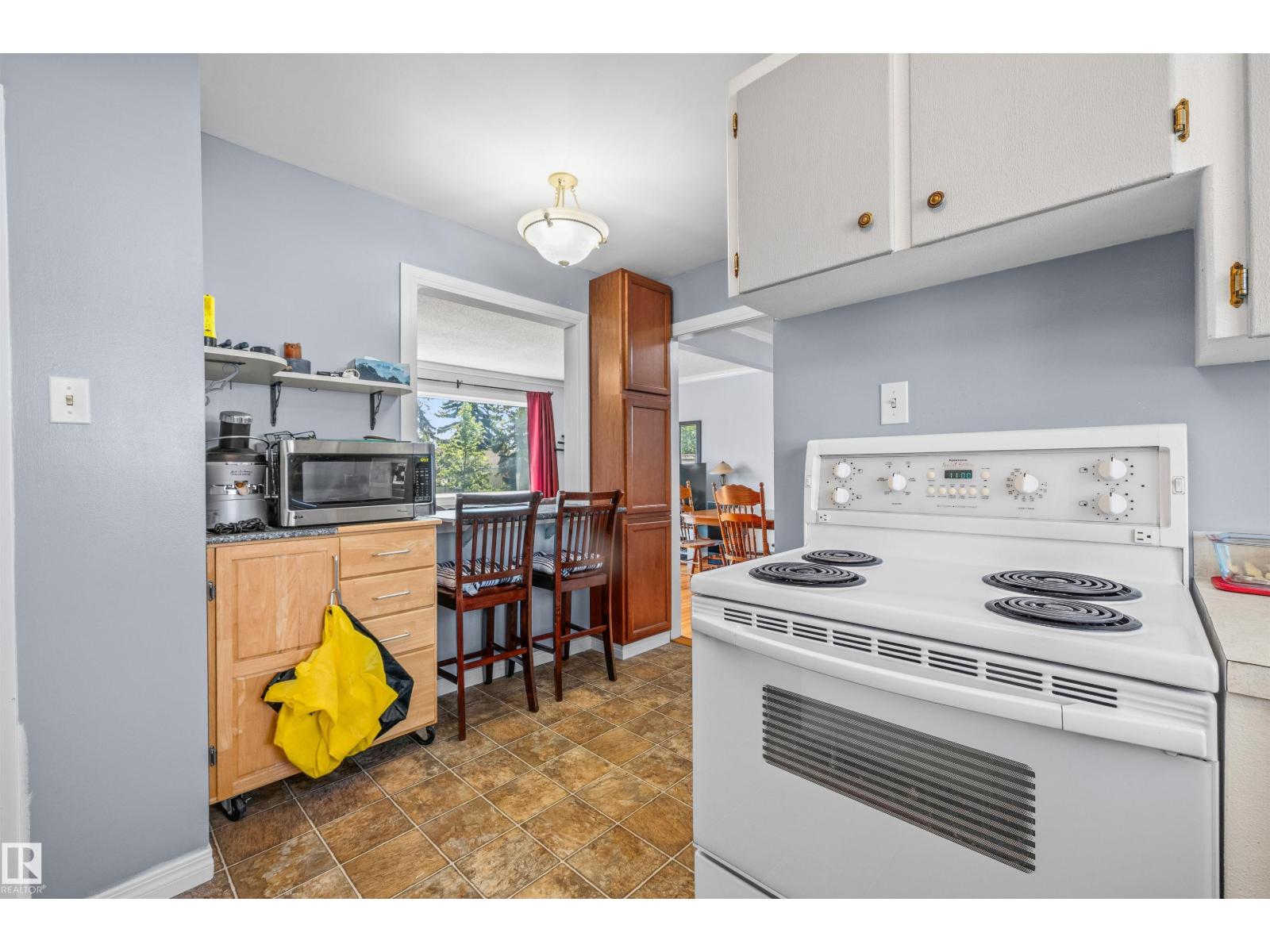 10534 163 ST NW - 14