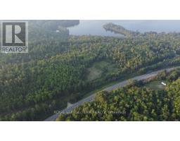 00 60 Highway, Madawaska Valley, ON K0J1B0 Photo 6