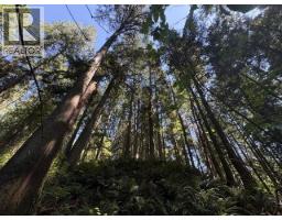 14202 Marc Road, Maple Ridge, BC V4R2G5 Photo 11
