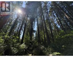 14202 Marc Road, Maple Ridge, BC V4R2G5 Photo 6
