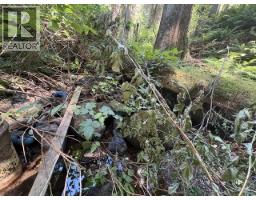 14202 Marc Road, Maple Ridge, BC V4R2G5 Photo 12