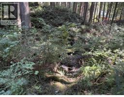 14202 Marc Road, Maple Ridge, BC V4R2G5 Photo 13