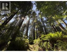 14202 Marc Road, Maple Ridge, BC V4R2G5 Photo 9