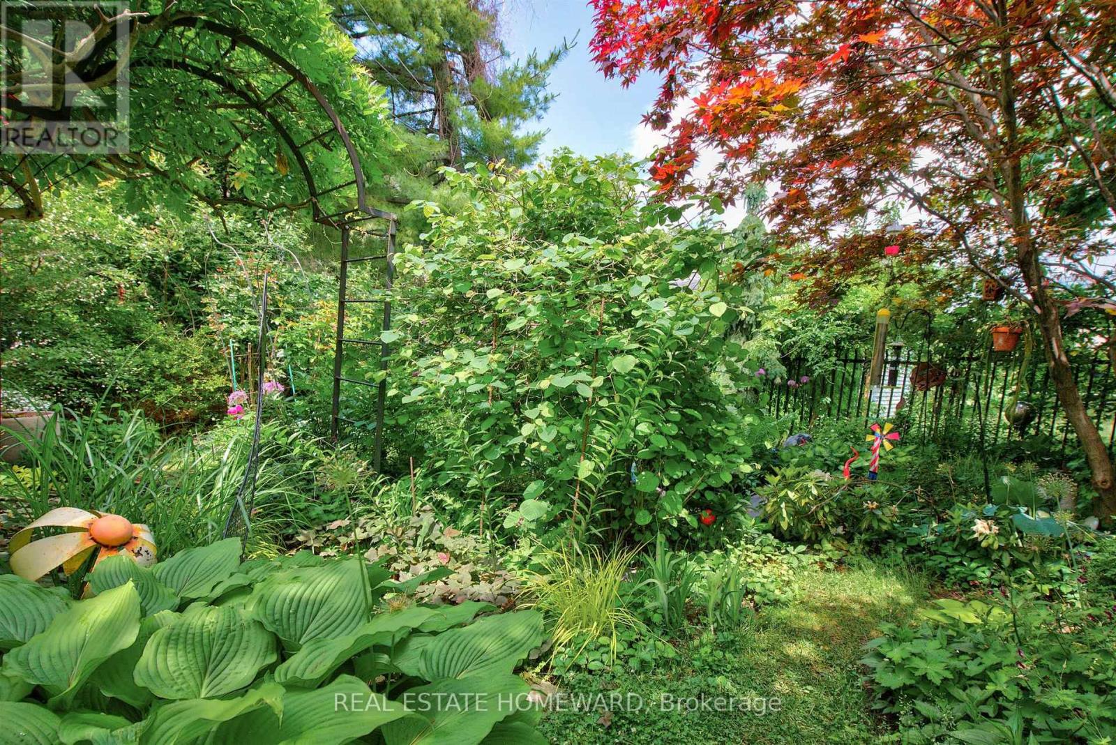 14 LYALL AVENUE - 41