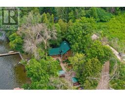 58 Hendry Lane, Whitewater Region, ON K0J1K0 Photo 42