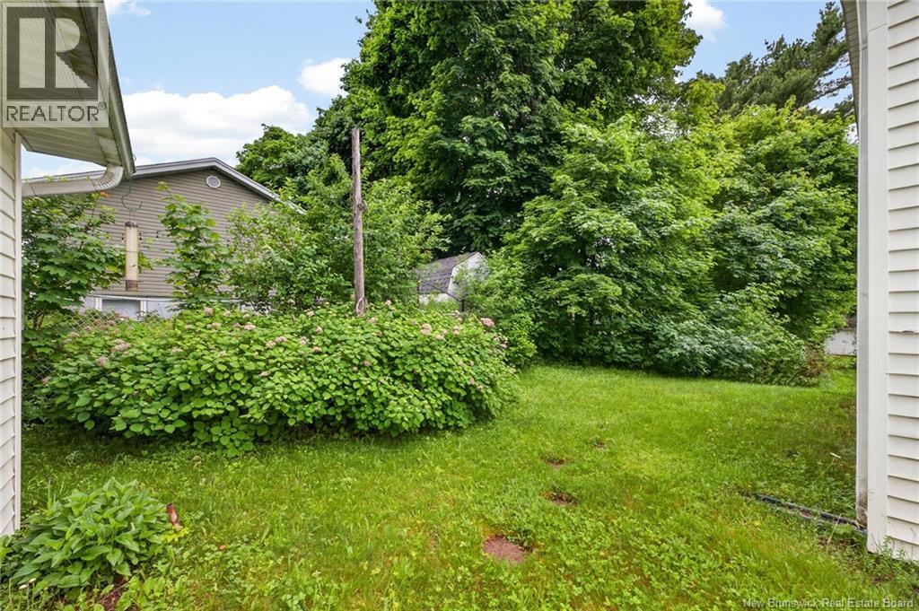 18 Carney - Image 27