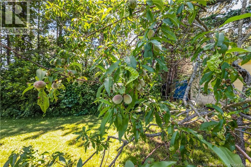 41 Green Hill Drive - Image 42