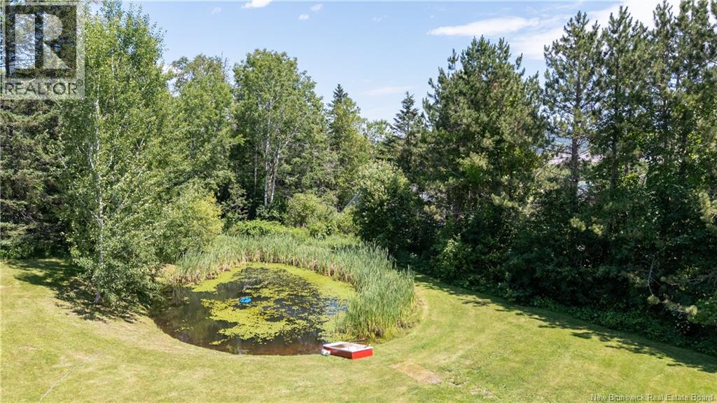 41 Green Hill Drive - 50