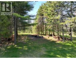 4311 Marthaville Road, Petrolia, ON N0N1R0 Photo 46