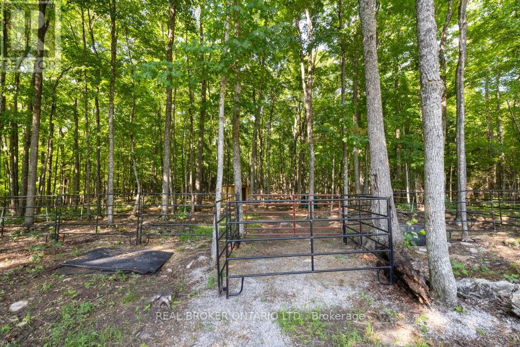 804 DARLING ROAD - Image 39