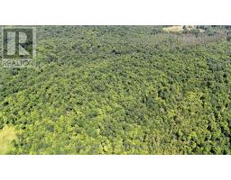 00 511 Highway, Lanark Highlands, ON K0G1K0 Photo 10
