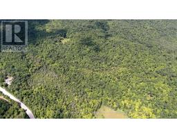 00 511 Highway, Lanark Highlands, ON K0G1K0 Photo 7