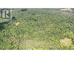 00 511 Highway, Lanark Highlands, ON K0G1K0 Photo 8