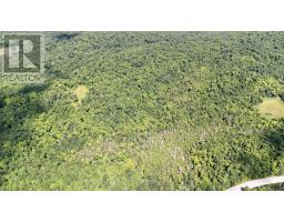 00 511 Highway, Lanark Highlands, ON K0G1K0 Photo 9