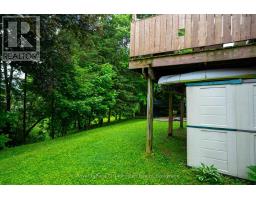 217 Albert Street, Arran Elderslie, ON N0G2N0 Photo 38