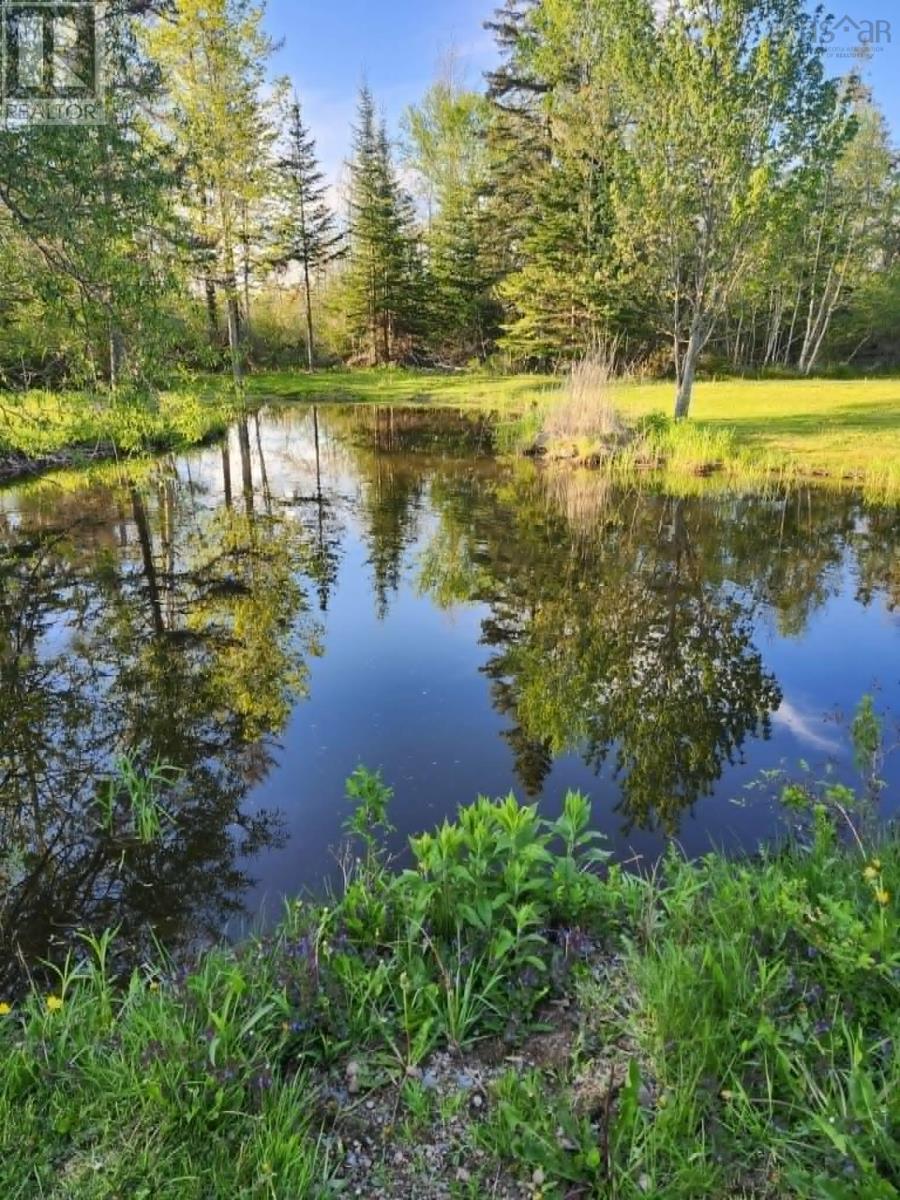 129 Birch Hill Road - 29