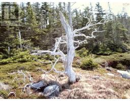 Lot 41 264 Beaver Drive, West Quoddy, NS B0J2R0 Photo 10