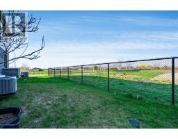 113 Eagle Street, Leamington, ON N8H0G5 Photo 27