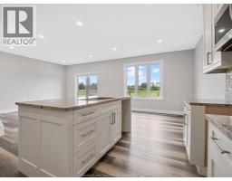 Laundry room - 113 Eagle Street, Leamington, ON N8H0G5 Photo 6