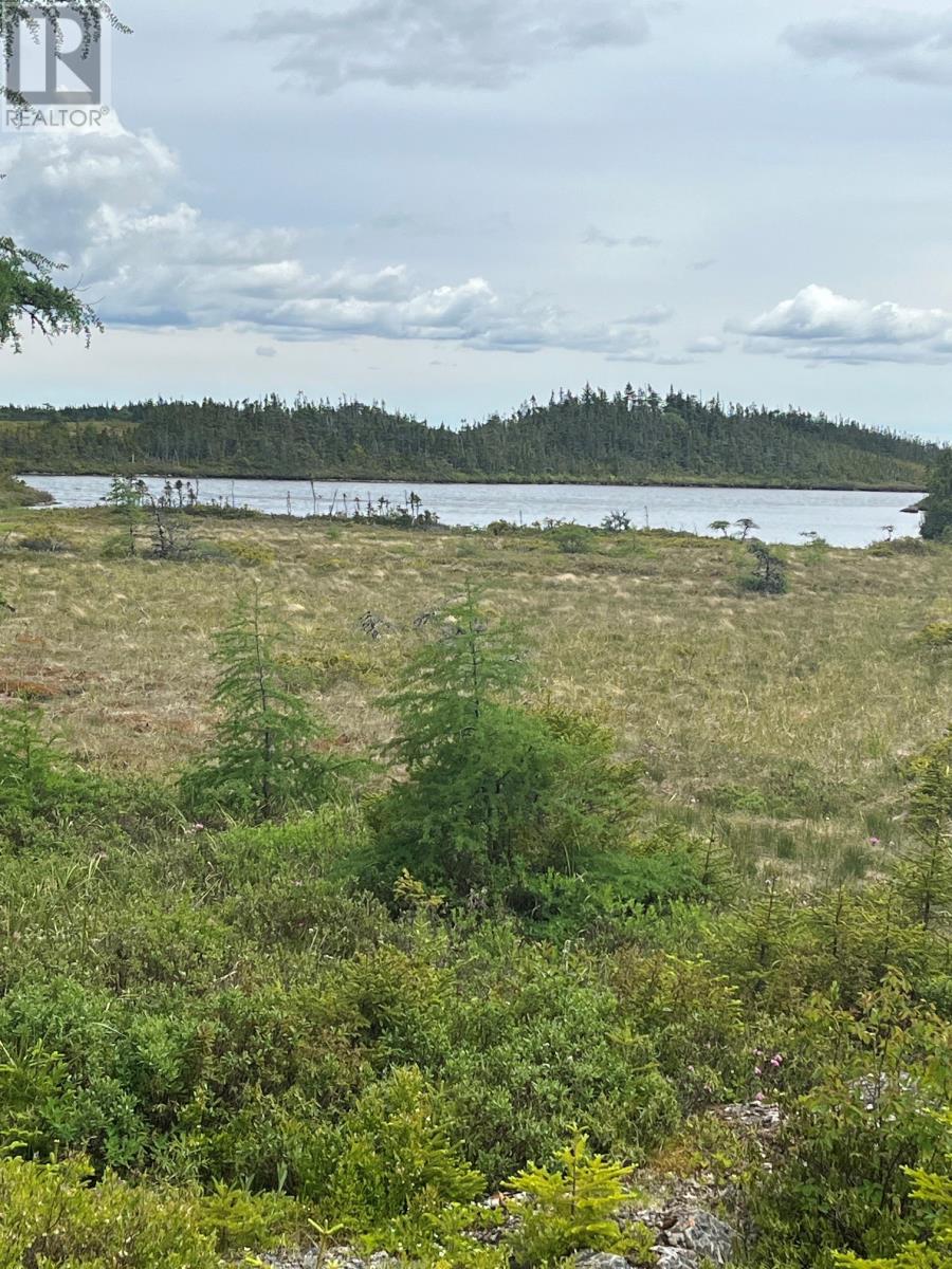 570 Salmonier Line - 11