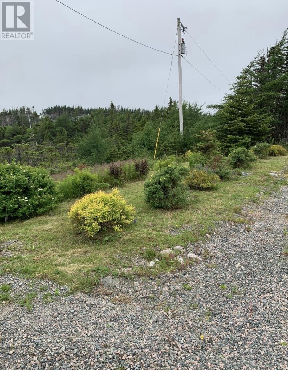 570 Salmonier Line - 13