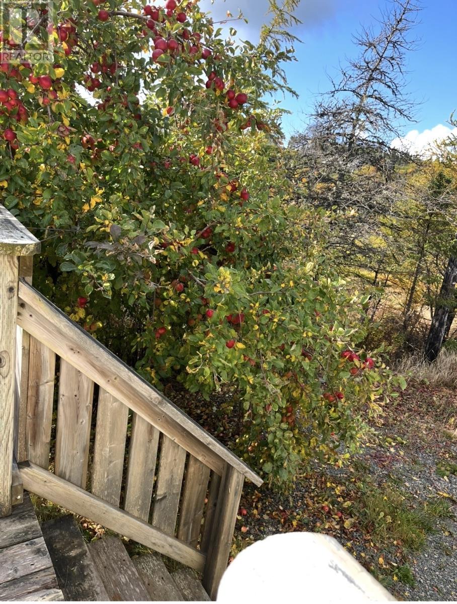 570 Salmonier Line - 14