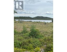 570 Salmonier Line thumbnail 11