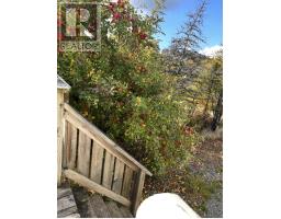 570 Salmonier Line thumbnail 14