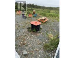570 Salmonier Line thumbnail 15