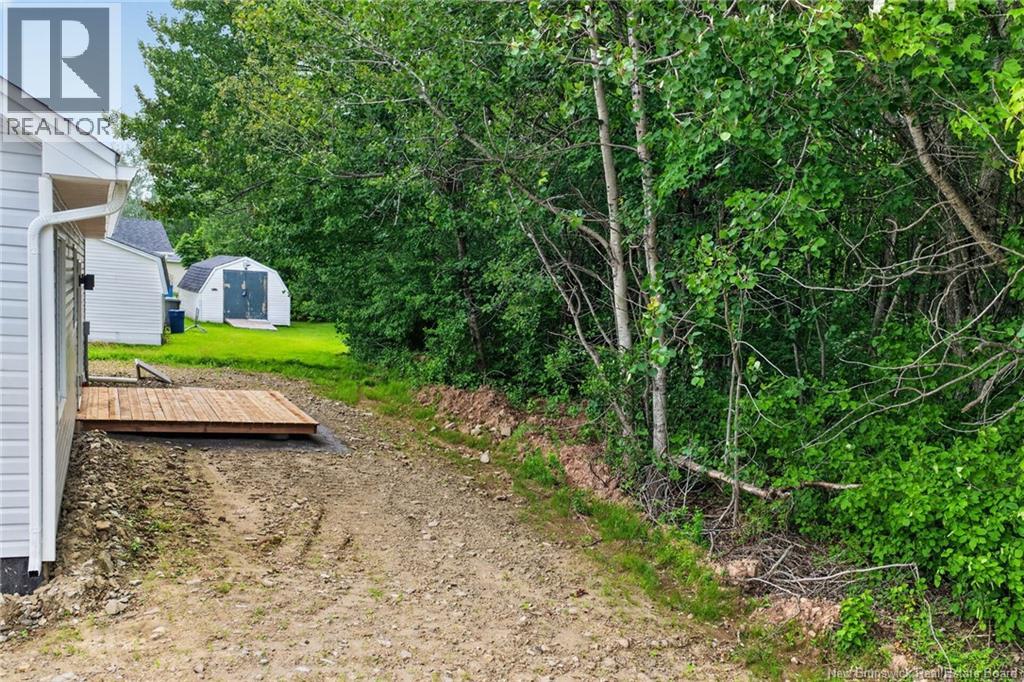 35 Lauza Avenue - 31