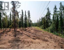149 Springer Road, Whitehorse North, YT Y1A7A2 Photo 46
