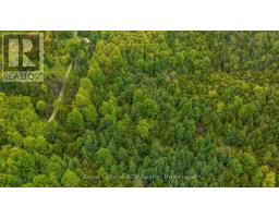 N/a Concession 8 Road, West Grey, ON N0C1H0 Photo 6
