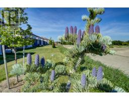 15 Union Boulevard, Wasaga Beach, ON L9Z0M6 Photo 40