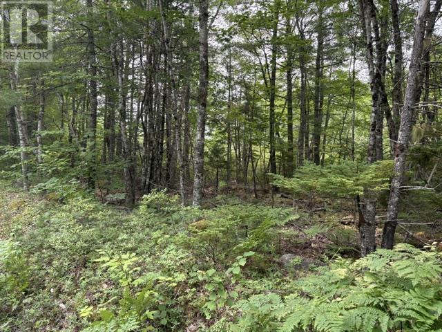 Property 8 of 8 of Lot 1-A Country Road, Lakeland Retreats
