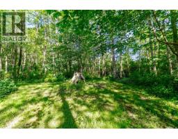 3401 River Rd, Chemainus, BC V0R1K3 Photo 42
