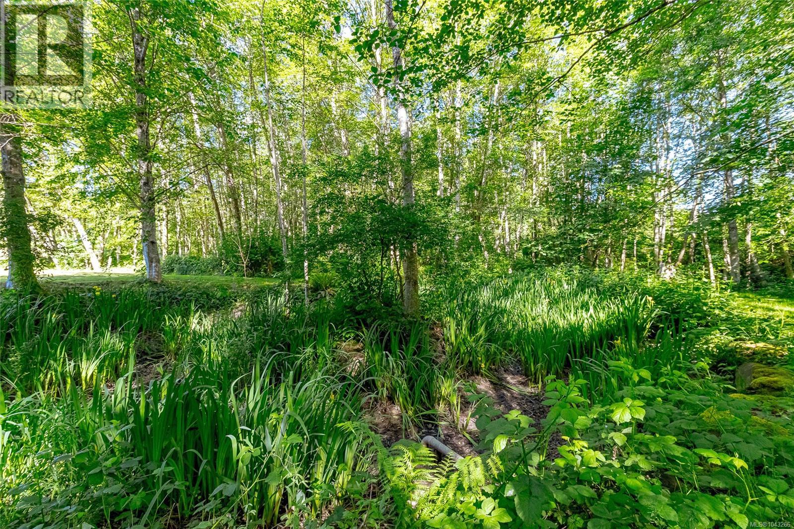 3401 River Rd - 41
