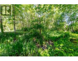 3401 River Rd, Chemainus, BC V0R1K3 Photo 41