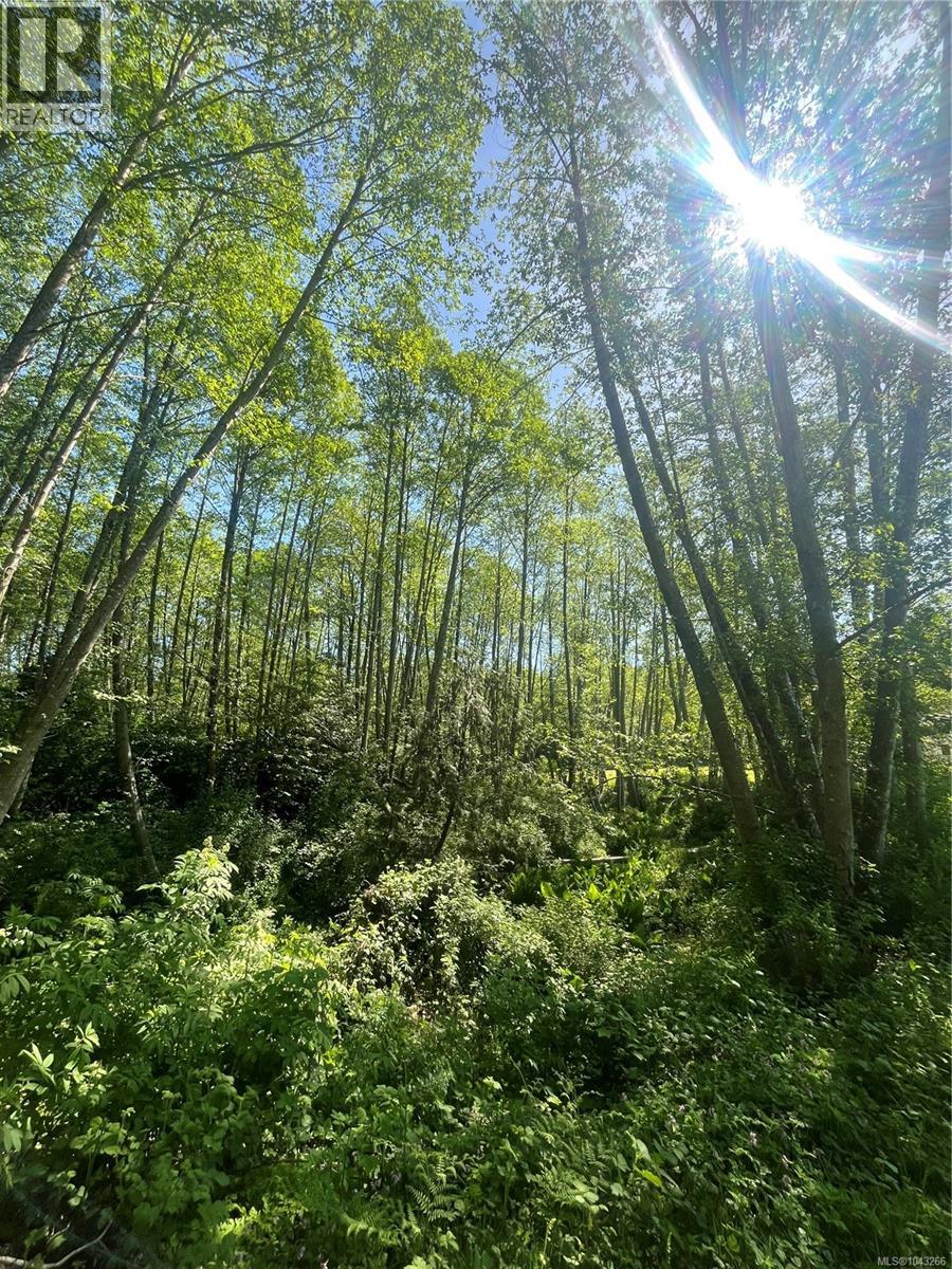 3401 River Rd - 72