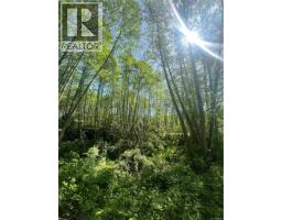 3401 River Rd, Chemainus, BC V0R1K3 Photo 72